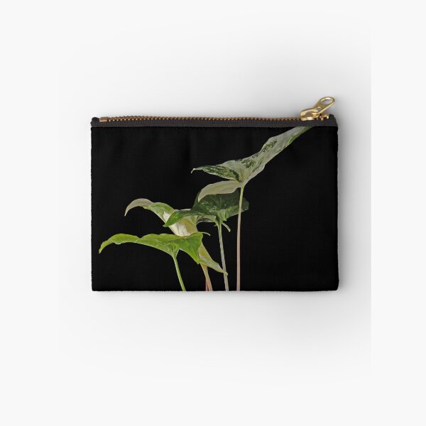 Item preview, Syngonium Variegated Albo Macro designed and sold by plantsbutbetter.