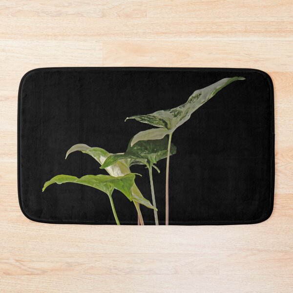 Artikelvorschau, Syngonium Variegated Albo Makro entworfen und verkauft von plantsbutbetter.