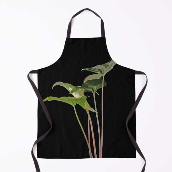 Item preview, Syngonium Variegated Albo Macro designed and sold by plantsbutbetter.