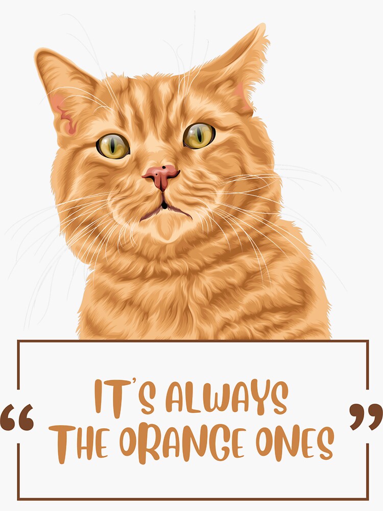 It\'s Always The Orange Ones (ginger cat)\