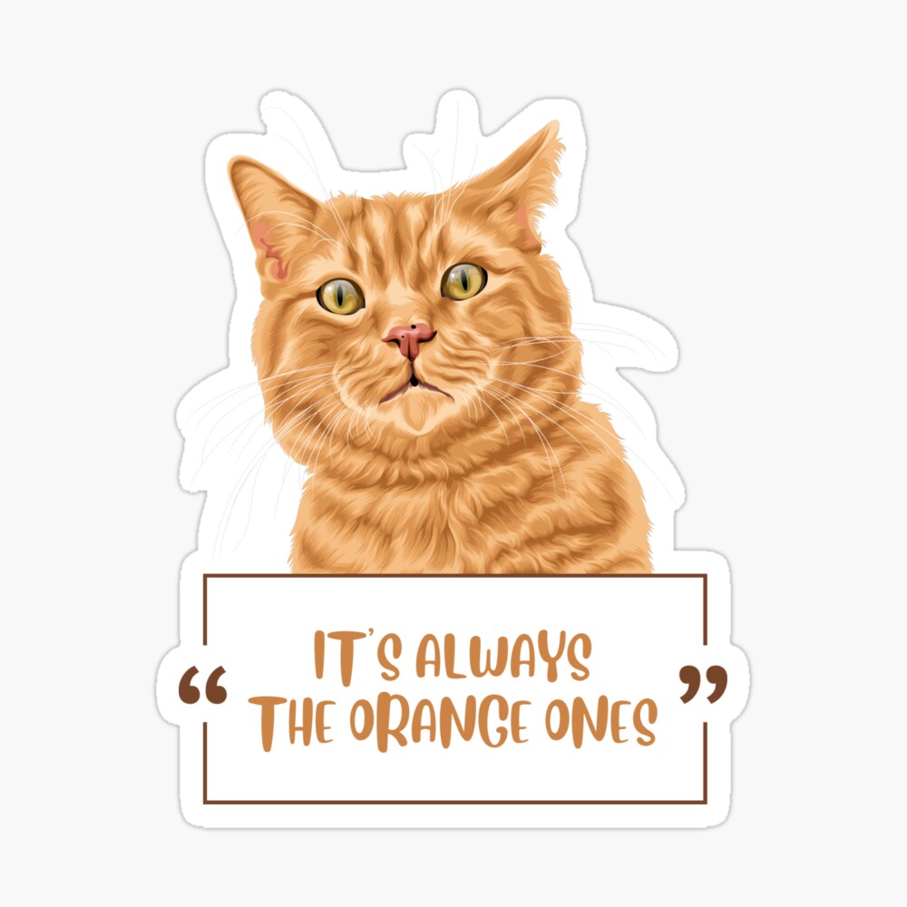 Its Always The Orange Ones (ginger cat) Coffee Mug for Sale by  clawfuldesigns | Redbubble