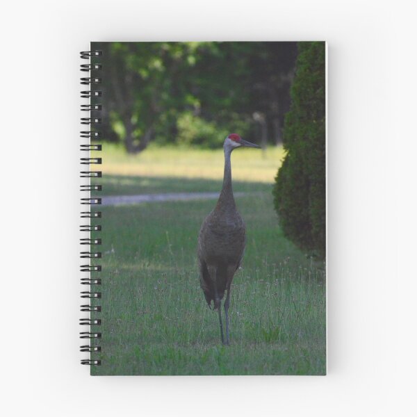 Item preview, Sand Crane designed and sold by kry.ative.