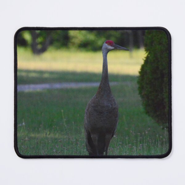 Item preview, Sand Crane designed and sold by kry.ative.