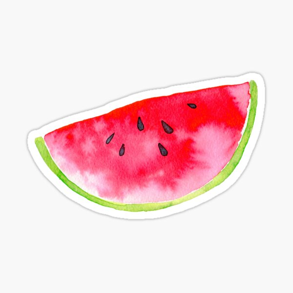 Summer watercolour watermelon slice Sticker