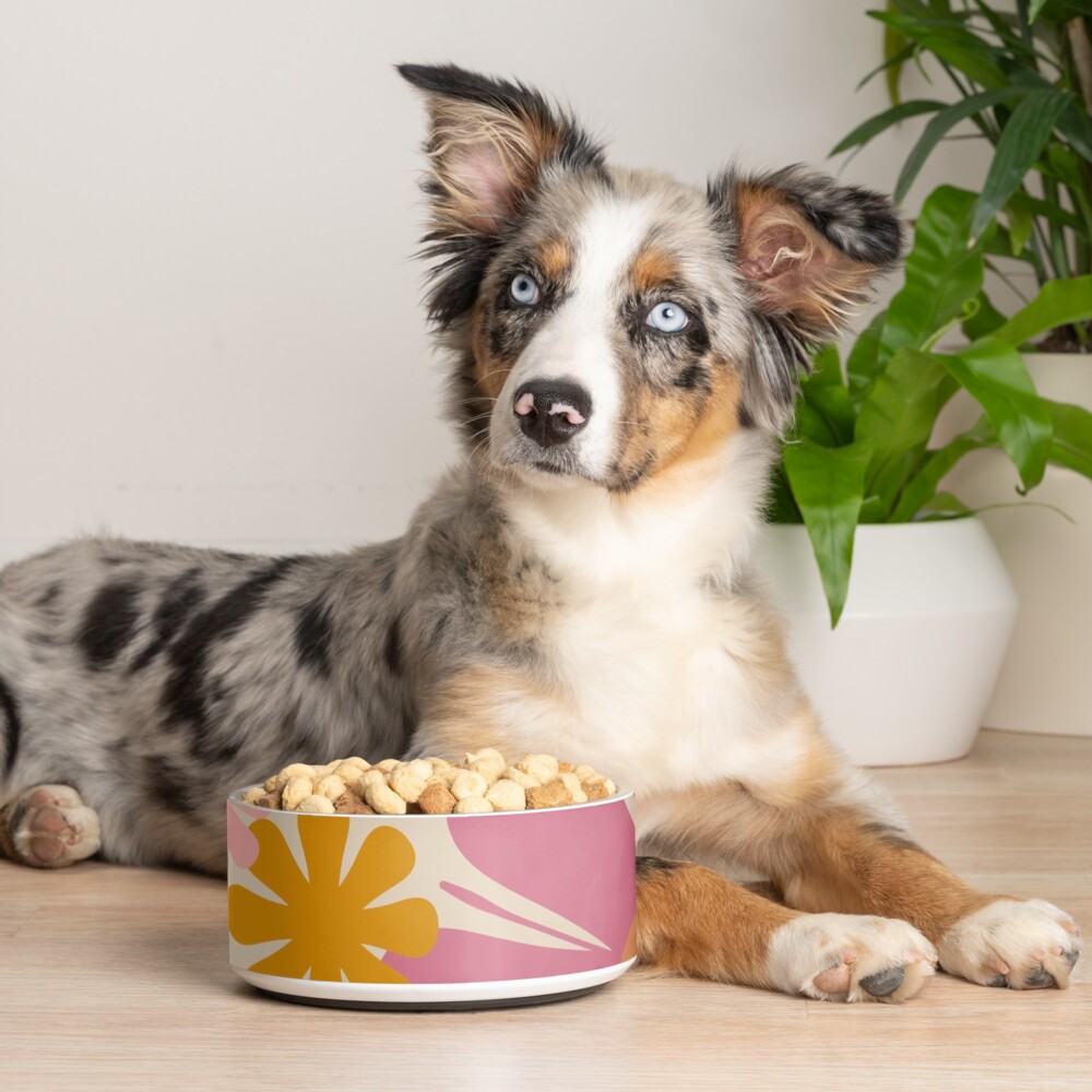 Item preview, Pet Bowl designed and sold by kierkegaard.