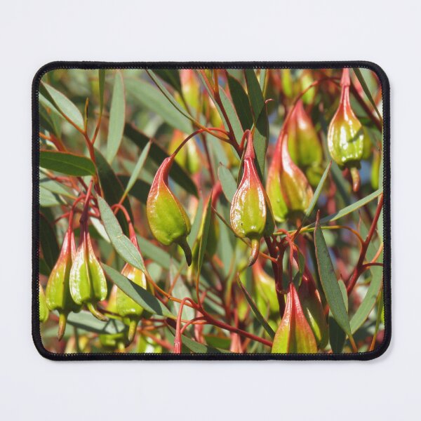 Item preview, Fuchsia gum buds designed and sold by greentiger1.