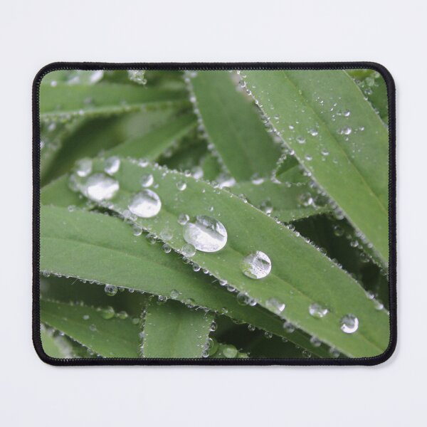 Item preview, Leaf droplets designed and sold by JennaJuliaa.
