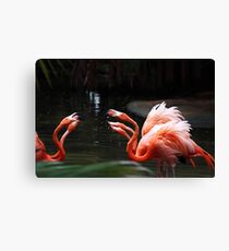 Family Squabble Canvas Print