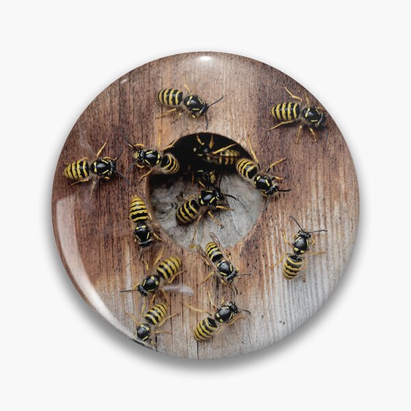 Item preview, Wasps in a birdbox designed and sold by davejw.