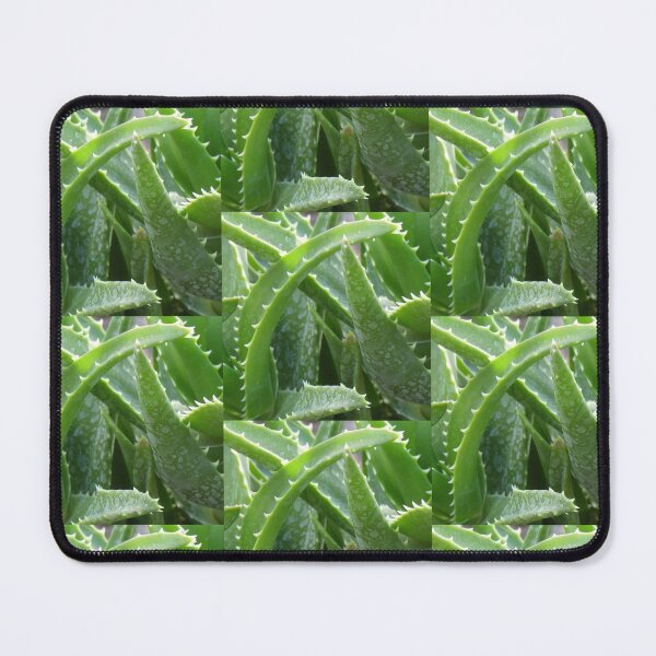 Item preview, Aloe designed and sold by wumplekin.