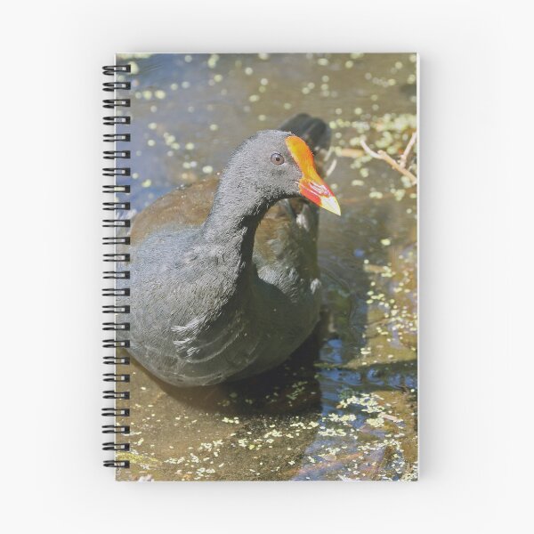 Item preview, Dusky Moorhen (282) designed and sold by Emmy Silvius.
