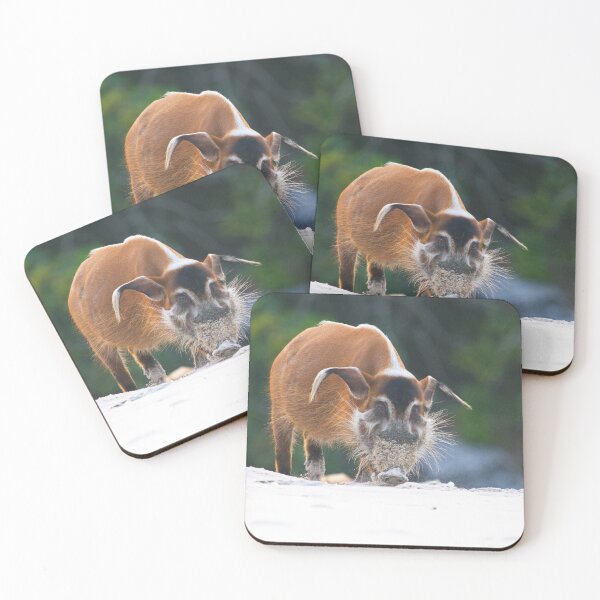 Item preview, This Little Piggy Went to Market designed and sold by Alon-Cassidy.