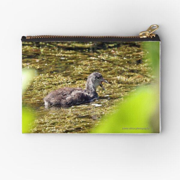 Dusky Moorhen - immature (508) Zipper Pouch