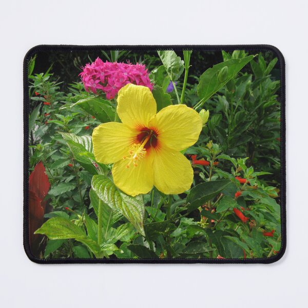 Item preview, Yellow Hibiscus designed and sold by aura2000.