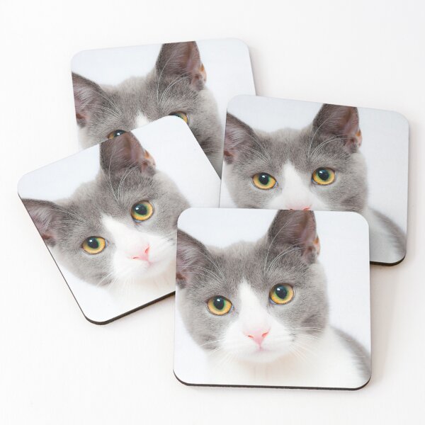 Item preview, Cat photo designed and sold by Celestial Healer.