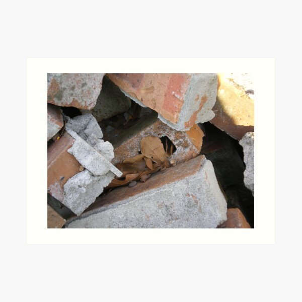 Old Bricks Art Print