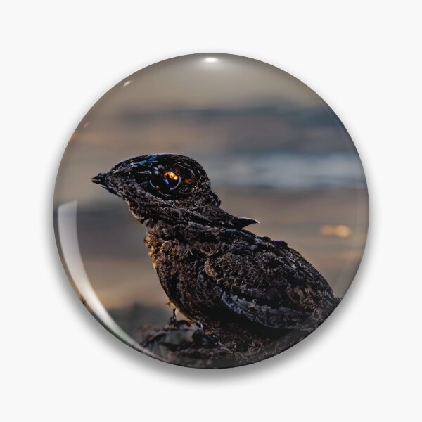 Item preview, Great-eared Nightjar designed and sold by Jacob Montanez.
