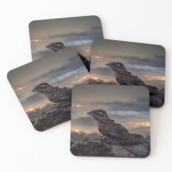 Item preview, Great-eared Nightjar designed and sold by Jacob Montanez.