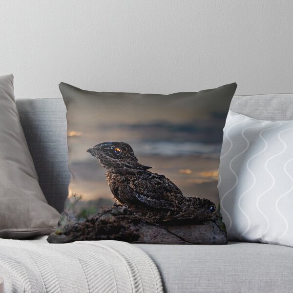 Item preview, Great-eared Nightjar designed and sold by Jacob Montanez.