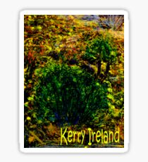 jGibney Ireland 1999 Kerry Lake District Ireland The MUSEUM Red Bubble Gifts Sticker