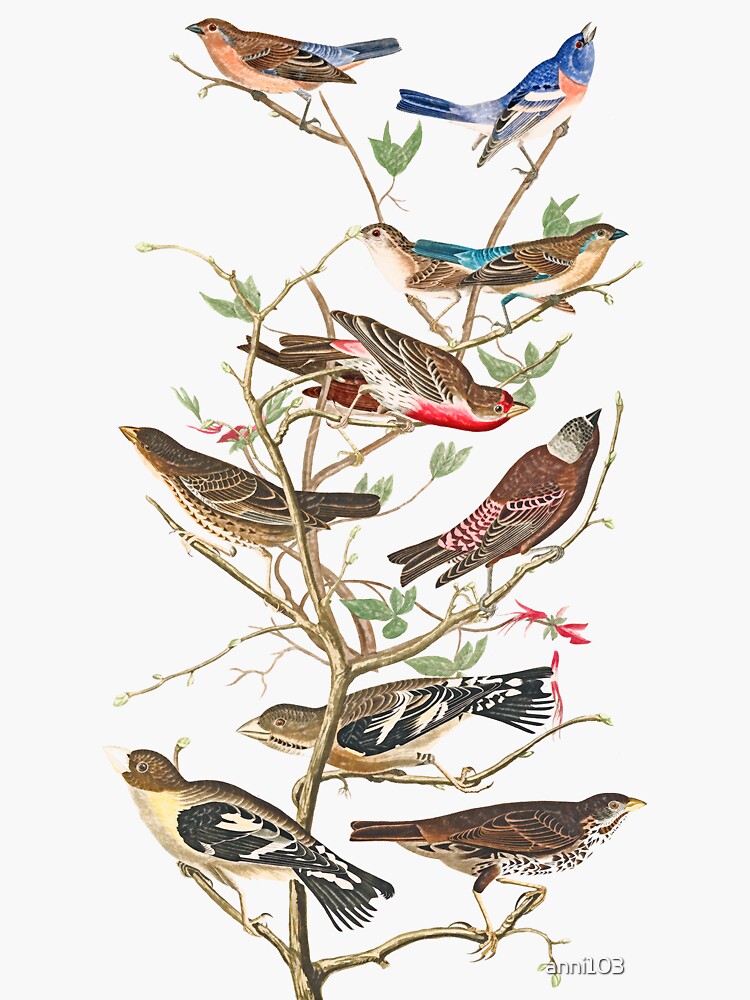 Bird Tree by anni103