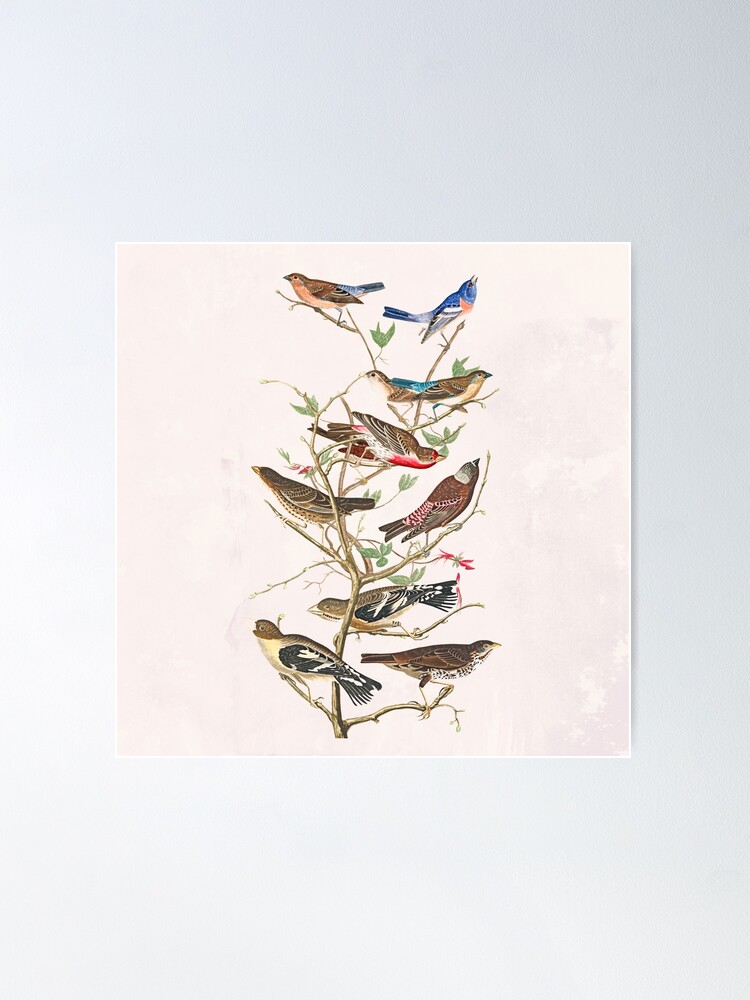 Alternate view of Bird Tree Poster