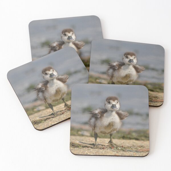 Item preview, Cute little gosling designed and sold by ClaireChown.