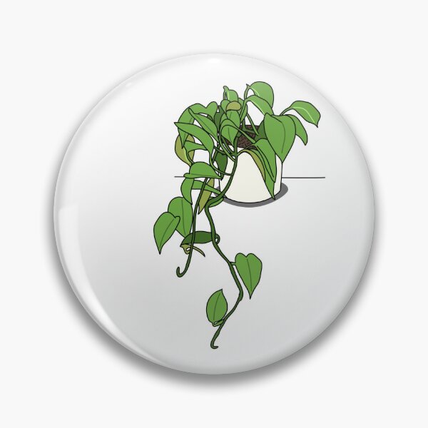 Item preview, Pothos / Devil's Ivy Illustration designed and sold by mtatatat.