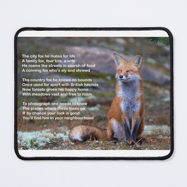 Item preview, A Red Fox Poem designed and sold by James Cumming.