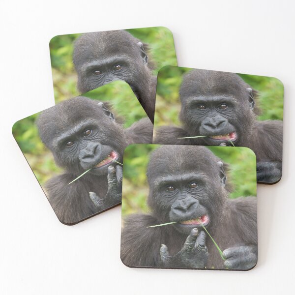Item preview, Baby Gorilla Cuteness designed and sold by rawshutterbug.