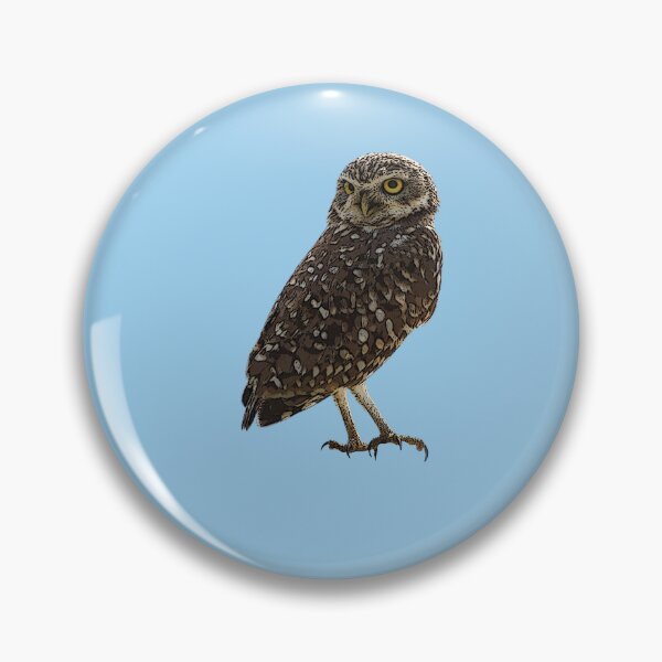 Item preview,  A Burrowing Owl (Shoco) Color Design Painting Print designed and sold by designsasstultd.