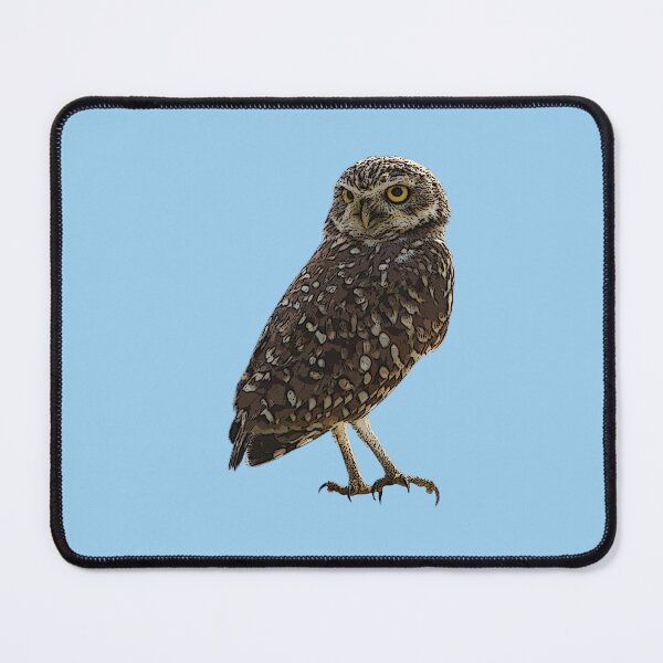 Item preview,  A Burrowing Owl (Shoco) Color Design Painting Print designed and sold by designsasstultd.