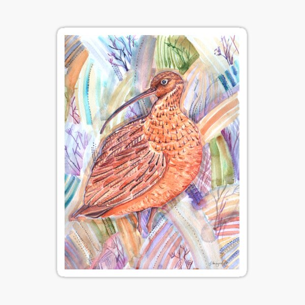 Item preview, The Hidden Curlew designed and sold by Jezhawk.