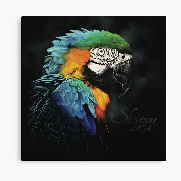RAIMBOW FEATHERS by Skyzune ART Impression sur toile