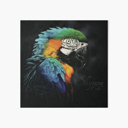 RAIMBOW FEATHERS by Skyzune ART Impression rigide