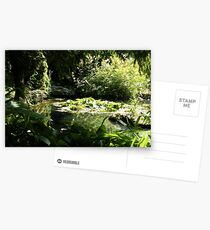 Trees & Water Lilies Postcards