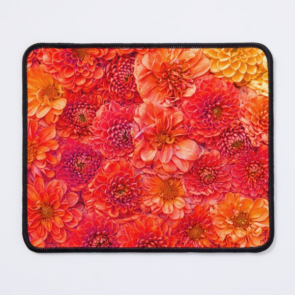 Item preview, Red chrysanthemums designed and sold by Photopat.