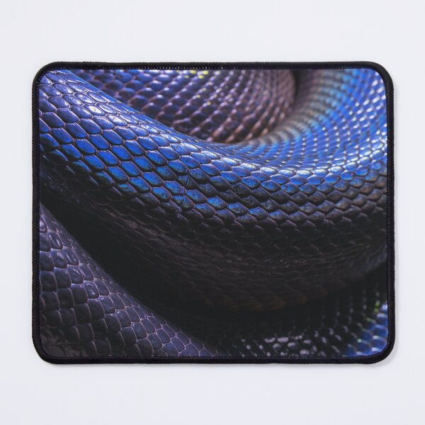 Item preview, Blue Snake Scales Photo designed and sold by cgroenewald.