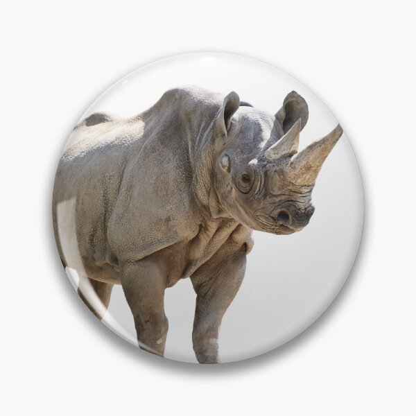 Artikelvorschau, Spitzmaulnashorn, Isolated on White Background entworfen und verkauft von svetlanna.