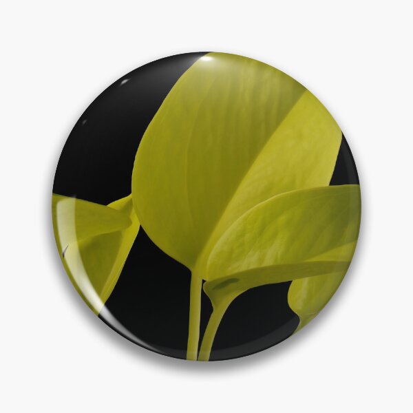 Item preview, Golden Neon Pothos (Money Plant) designed and sold by plantsbutbetter.