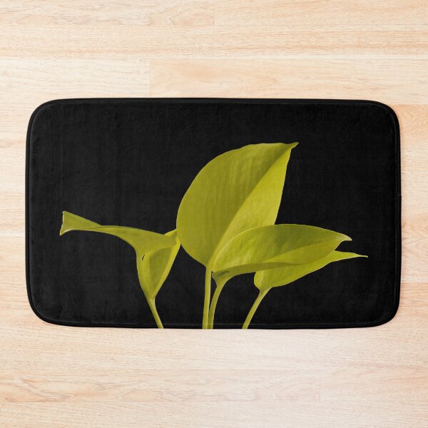 Item preview, Golden Neon Pothos (Money Plant) designed and sold by plantsbutbetter.