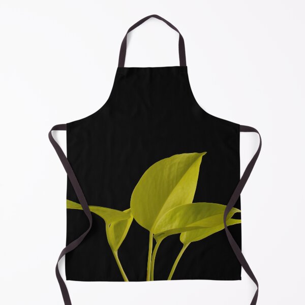 Item preview, Golden Neon Pothos (Money Plant) designed and sold by plantsbutbetter.