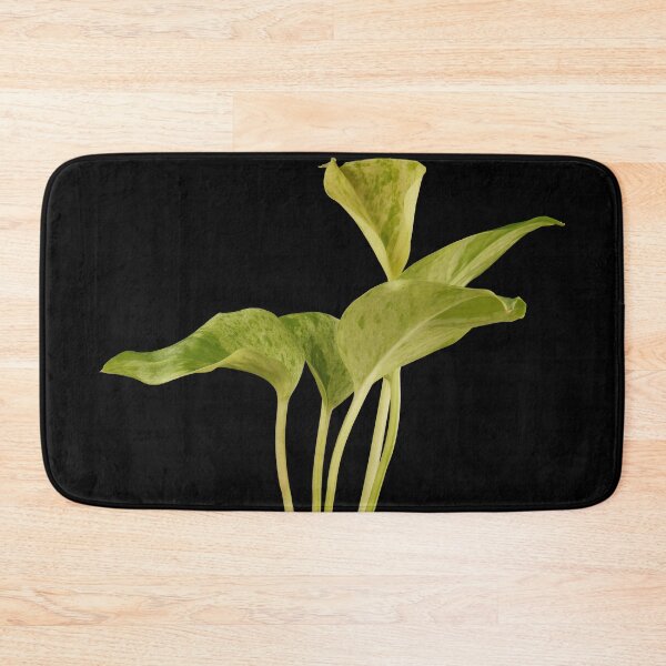 Item preview, Marble Queen Pothos (Money Plant) designed and sold by plantsbutbetter.