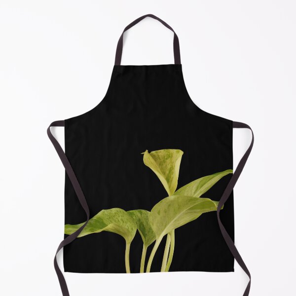 Item preview, Marble Queen Pothos (Money Plant) designed and sold by plantsbutbetter.