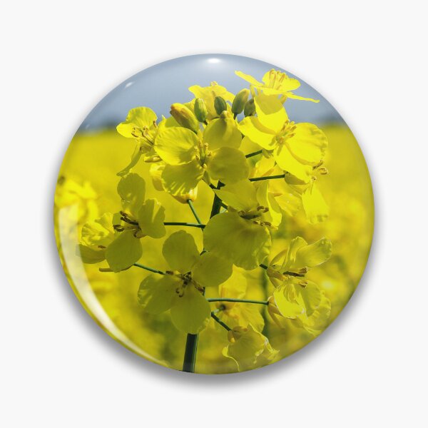 Item preview, Rapeseed yellow field designed and sold by FocalSpot.