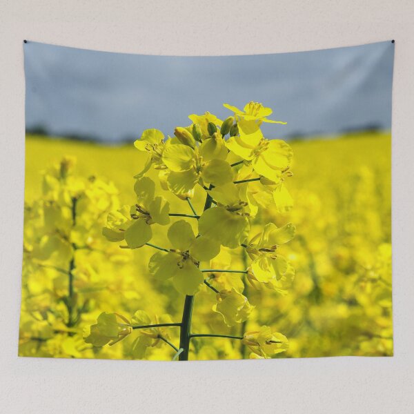 Item preview, Rapeseed yellow field designed and sold by FocalSpot.