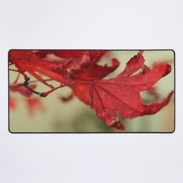 Item preview, Autumnal leaves designed and sold by FocalSpot.