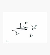 taiga plains Photographic Print