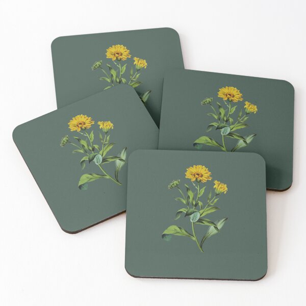 Item preview, Calendula officinalis Botanical Art Vector Cut Out designed and sold by taiche.