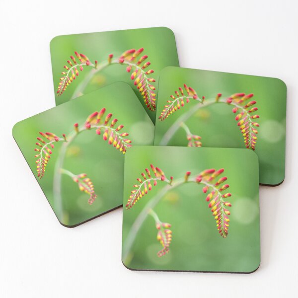 Item preview, Crocosmia Flower  designed and sold by Alisonchambers2.